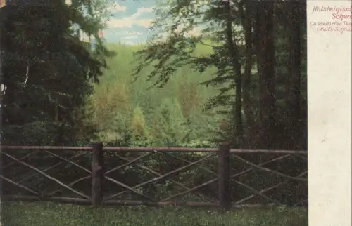 Holsteinische Schweiz - Cassedorfer Tannen