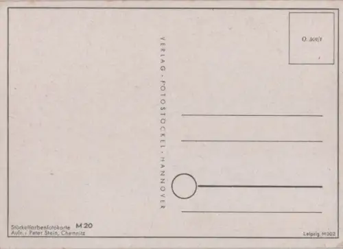 Blumen bunt blühend
