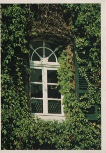 Fenster laubumnrankt