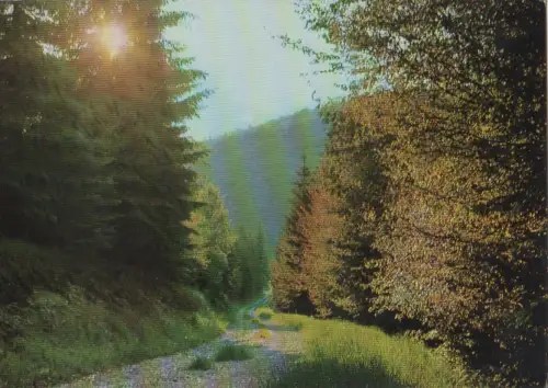 Fichtelgebirge - Abendstimmung - 1979