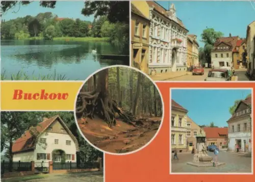 Bad Buckow - u.a. Wurzelfichte - 1986