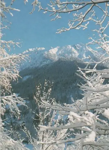Winterlandschaft - 2000