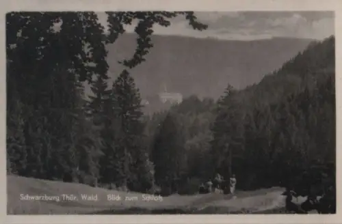 Schwarzburg - Blick zum Schloß - 1954