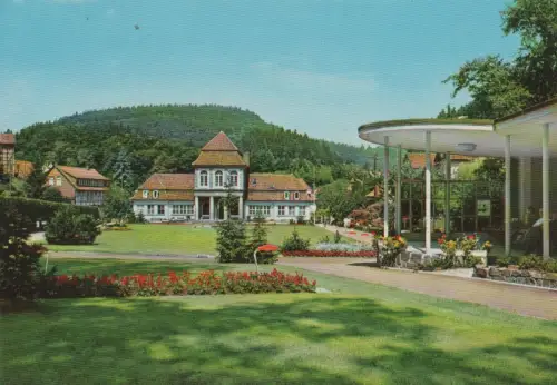 Bad Grund (Harz) - Moorbad mit Musik-Pavillon - ca. 1970