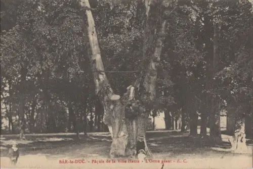 Frankreich - Bar-le-Duc - Frankreich - Paquis de la Ville Haute