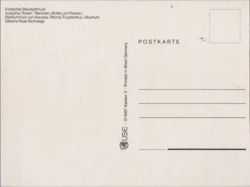 Exotischer Brautschmuck Acalypha