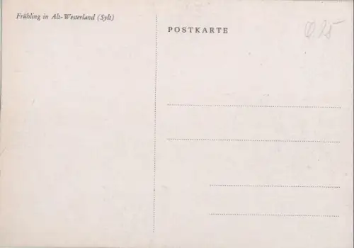 Westerland - Frühling