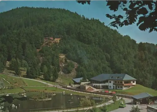 Todtnau - Berg-Wild-Park Steinwasen - ca. 1980