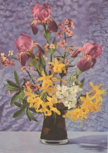 Blumen in Vase