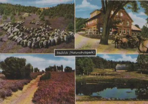 Undeloh - Wittes Gasthaus - ca. 1975