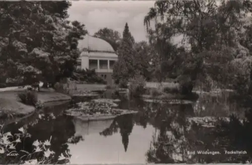 Bad Wildungen - Fackelteich