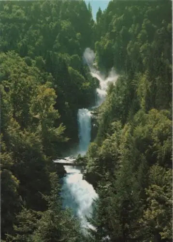Schweiz - Schweiz - Brienzersee - Giessbachfälle - 1988