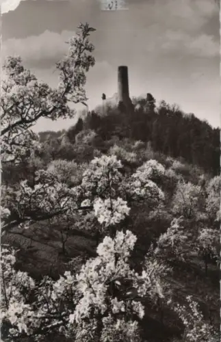 Weinheim - Burgruine Windeck - 1968