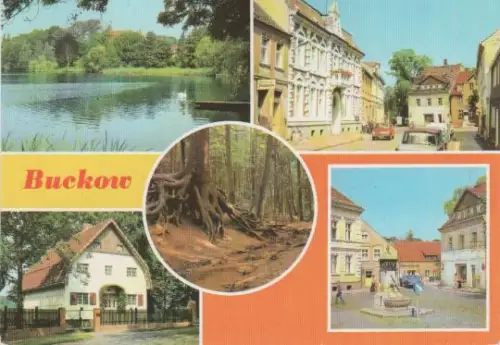 Buckow - Am Buckow-See, Clara-Zetkin-Straße, Wurzelfichte, Brecht-Weigel-Haus, Markt - 1980