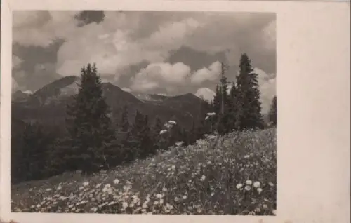 blühende Bergwiese - ca. 1955