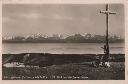 Herzogenhorn - Blick auf die Berner Alpen - ca. 1955