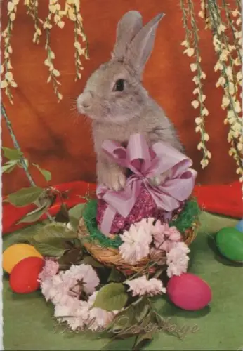 Frohe Ostertage Hase