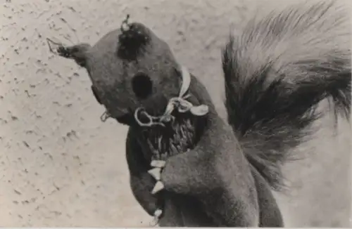 Seltsames Tier mit buschigem Schwanz