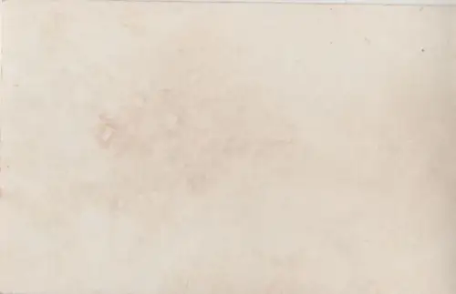 Seltsames Tier mit buschigem Schwanz