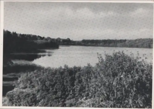 Alt-Döberiter See - mit viel Wald