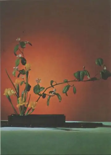 Ikebana Blüten. liebenswerte Boten
