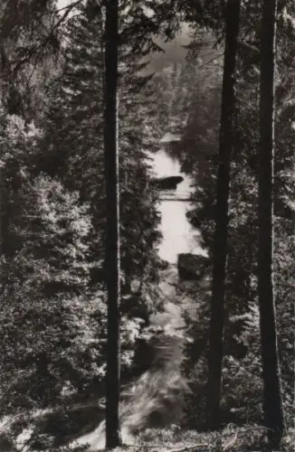 Waldnaab - am oberen Steg - ca. 1960