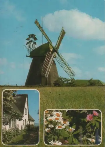 Amrum - mit 3 Bildern - 1985