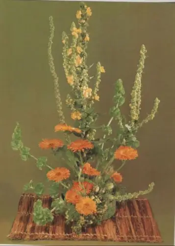 Königskerze Arrangement