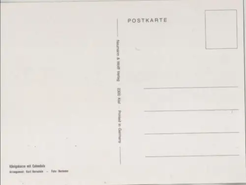 Königskerze Arrangement