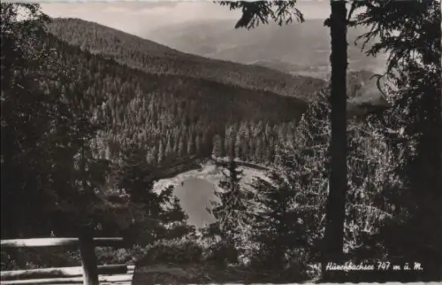 Huzenbacher See - 1967