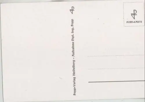 Pflanze mit vielen Blüten