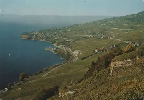 Schweiz - Schweiz - Cully - Vignobles de Lavaux - ca. 1975