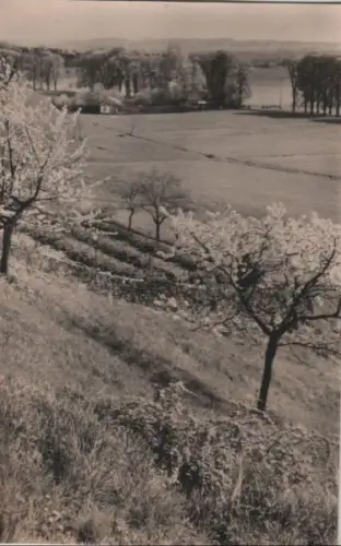 Frohe Pfingsten - 1964