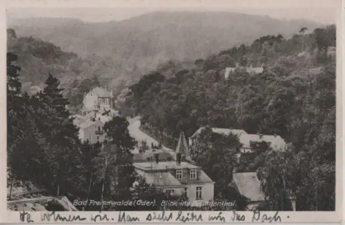 Bad Freienwalde - Blick ins Brunnenthal - ca. 1940