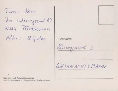 Künstlerbeeren backen