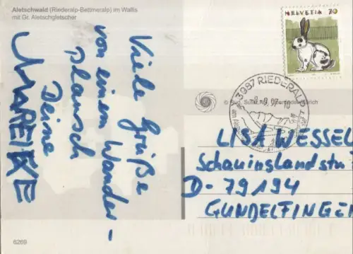 Schweiz - Aletschwald - Schweiz - 3 Bilder