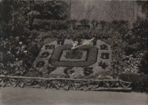Zittau - Blumenuhr - 1959