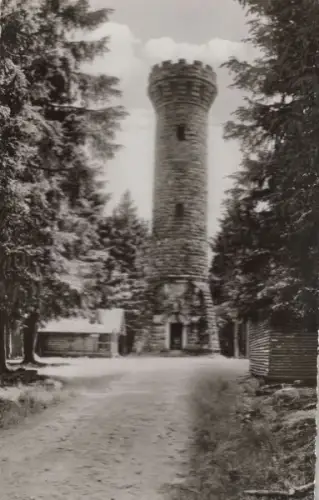 Kaltenbronn (OT von Gernsbach)y - Hohlohturm