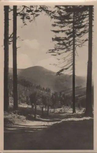 Oberhof - Fußweg zum Bahnhof mit Spitziger Berg - ca. 1955