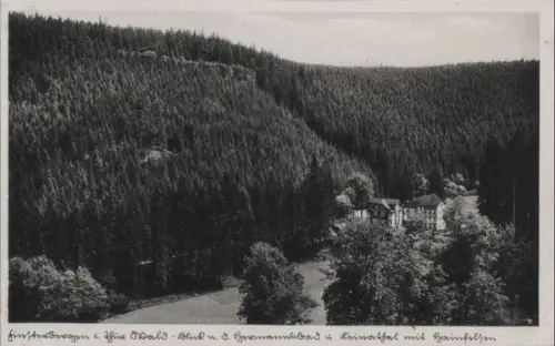 Finsterbergen - Wald-Blick nach dem Hermannsbad - ca. 1940