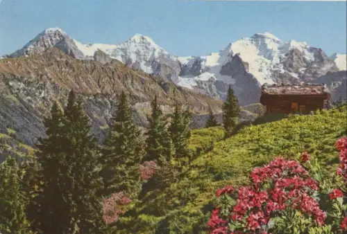 Schweiz - Berner Oberland - Schweiz - Eiger, Mönch, Jungfrau