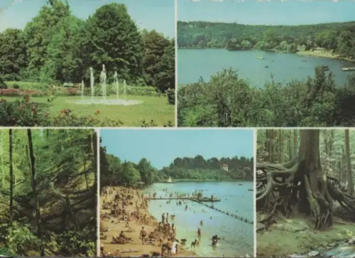 Buckow - u.a. Silberkehle - 1983