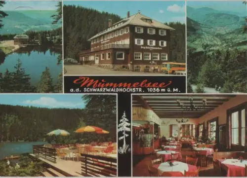 Mummelsee - 5 Bilder