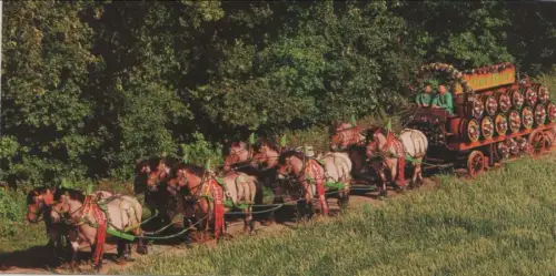 Lich - Licher Zehnerzug