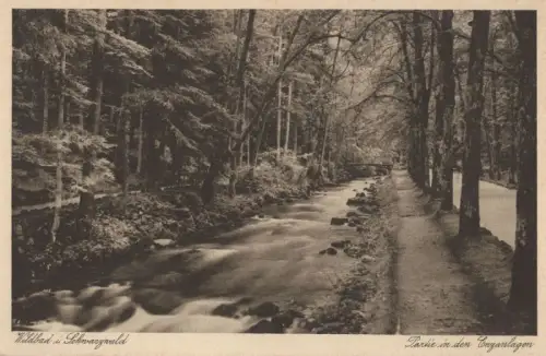 Bad Wildbad im Schwarzwald - Enzanlagen