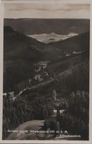 Kniebis - Ellbachseeblick
