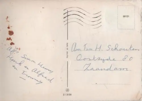 Rosen blühend