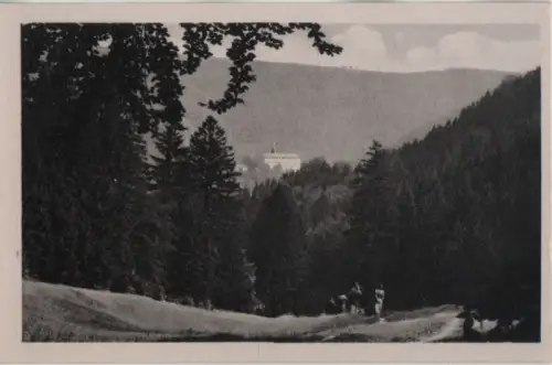 Schwarzburg - Blick zum Schloss