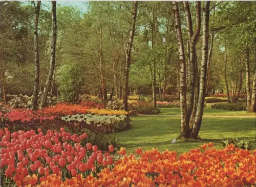 Niederlande - Holland - Niederlande - Blumenland