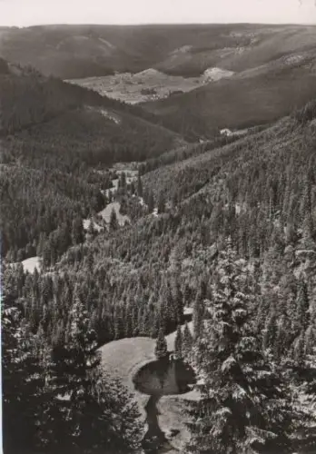 Freudenstadt - Kniebis - Ellbachseeblick - 1973